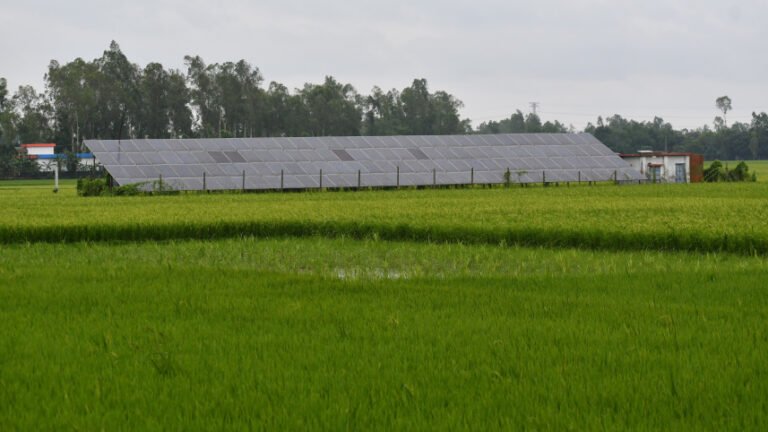 Solar power shields farmers from energy crisis Bangladesh’s farmers face rising diesel costs and shortages, threatening irrigation and crops. Solar-powered pumps offer a reliable, cost-saving alternative, boosting yields and resilience, but expansion remains slow despite strong potential benefits. Phot: Mostafa Shabuj